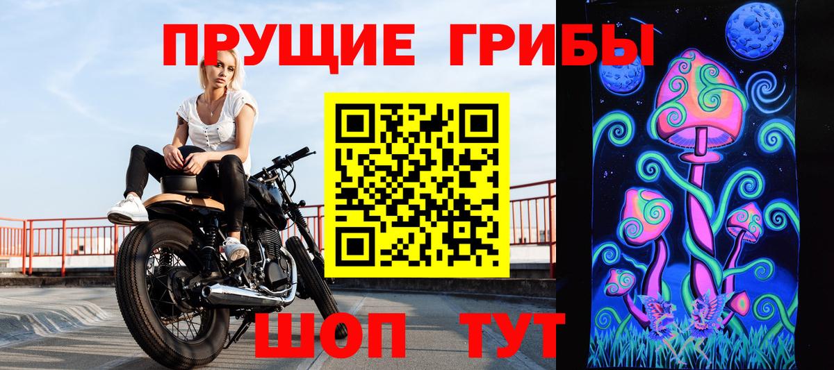 Галлюциногенные грибы Psilocybe  Вход с VPN  Отрадный  Псилоцибиновые грибы ЛСД 