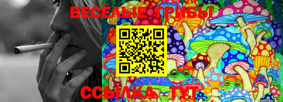 Псилоцибиновые грибы мицелий Отрадный